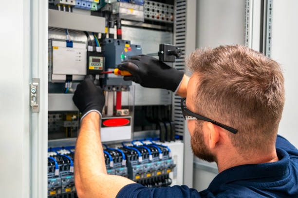 Best Local Electrician Companies  in Arbury Hls, IL