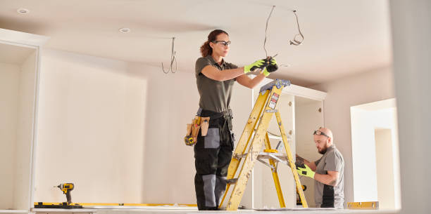 Best Electrical Repair Services  in Arbury Hls, IL