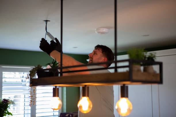 Best Licensed Electrician  in Arbury Hls, IL