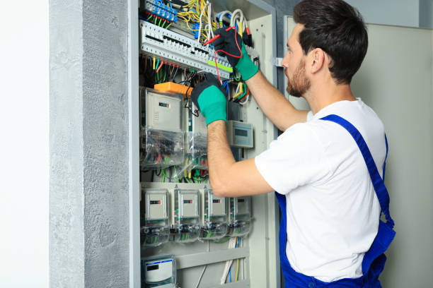 Best Generator Installation Services  in Arbury Hls, IL