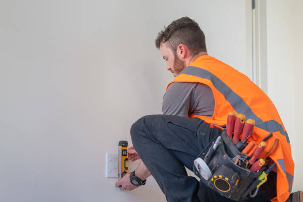 Best Ceiling Fan Installation Electrician  in Arbury Hls, IL